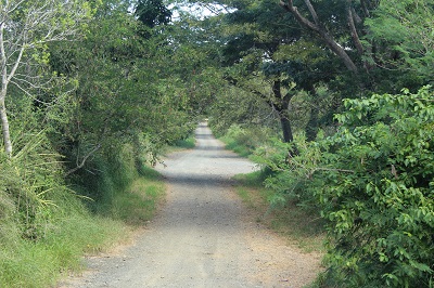 Lajas camino Laguna Cartagena