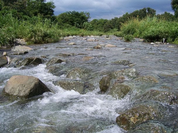 Rio Jacagua
